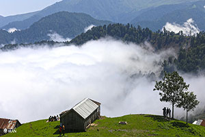 Caspian Sea Nature Tours