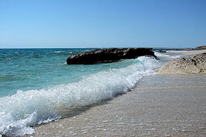 Caspian Sea Nature Tours