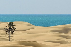 Darak Desert Tour