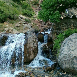 Alamut Nature Tours