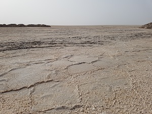 Maranjab Desert Tours