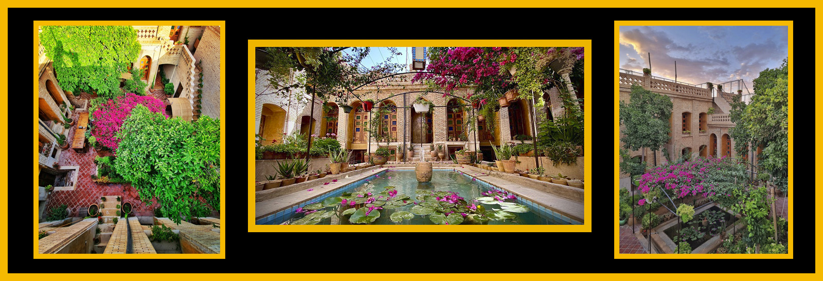 Shiraz